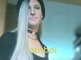 Lamboi