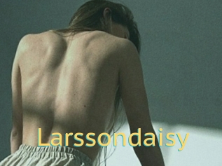 Larssondaisy