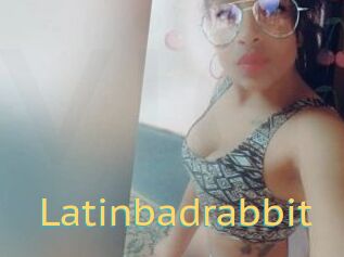 Latinbadrabbit