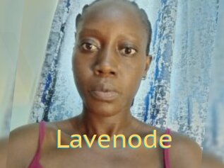 Lavenode