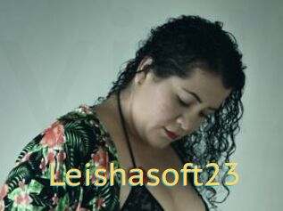 Leishasoft23