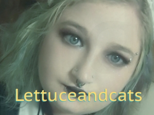 Lettuceandcats