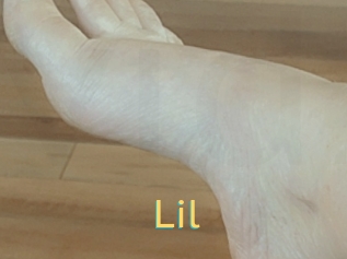 Lil