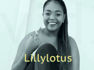 Lillylotus