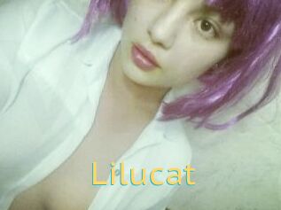 Lilucat