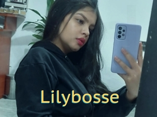 Lilybosse