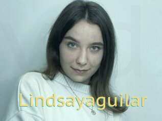 Lindsayaguilar