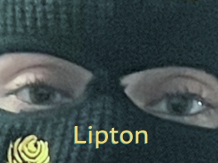 Lipton