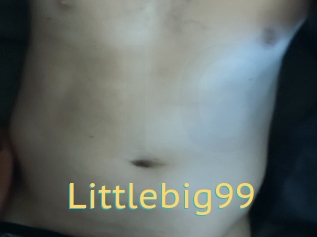 Littlebig99