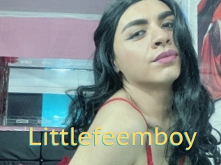 Littlefeemboy