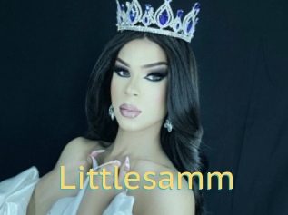 Littlesamm