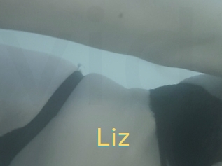 Liz