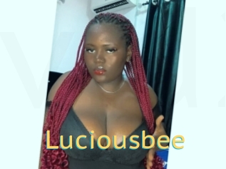 Luciousbee