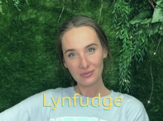 Lynfudge