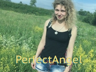 PerfectAngel