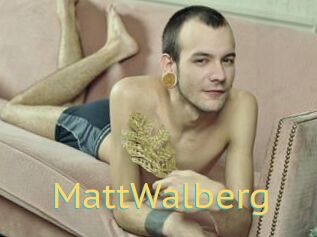 MattWalberg Videos 2 X