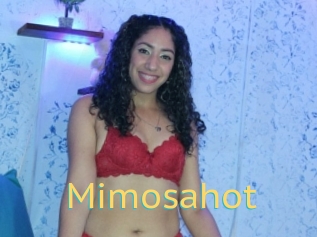 Mimosahot