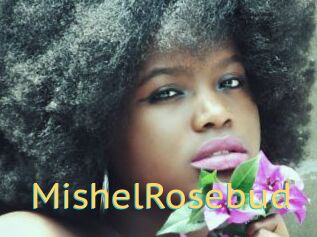 MishelRosebud Videos 2 X