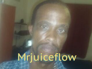 Mrjuiceflow