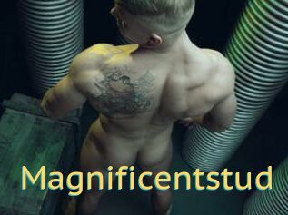 Magnificentstud