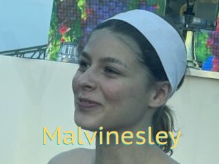 Malvinesley