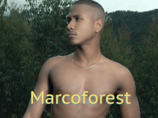 Marcoforest