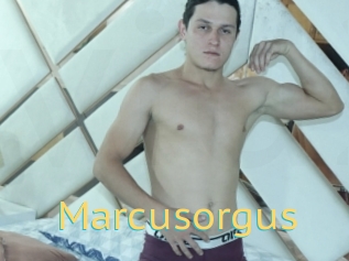 Marcusorgus