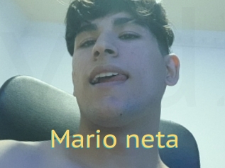 Mario_neta