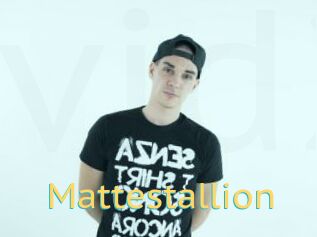 Mattestallion
