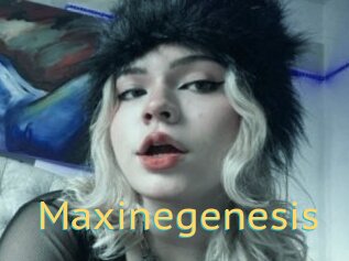 Maxinegenesis