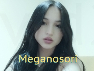 Meganosori