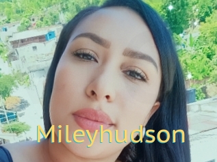 Mileyhudson