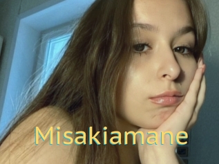 Misakiamane