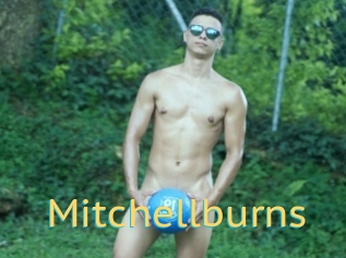 Mitchellburns