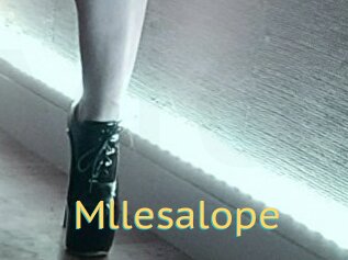 Mllesalope