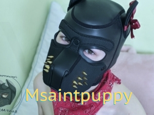 Msaintpuppy