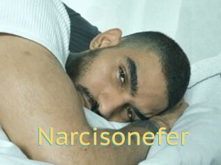 Narcisonefer