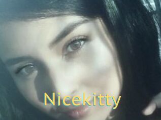 Nicekitty