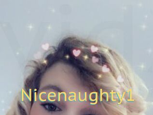 Nicenaughty1