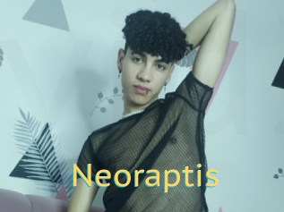 Neoraptis