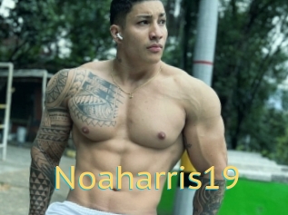 Noaharris19