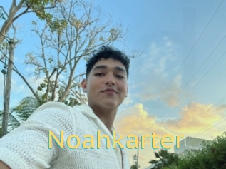 Noahkarter