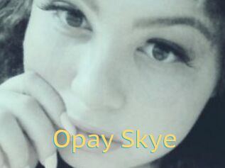 Opay_Skye