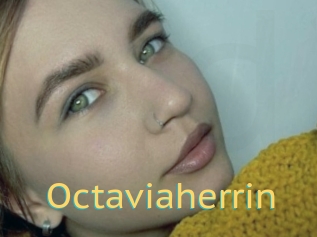Octaviaherrin