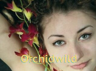 Orchidwild