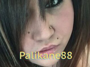 Palikane88