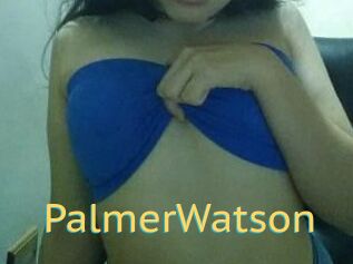 PalmerWatson