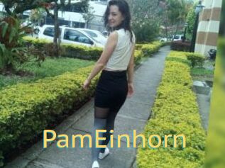 PamEinhorn