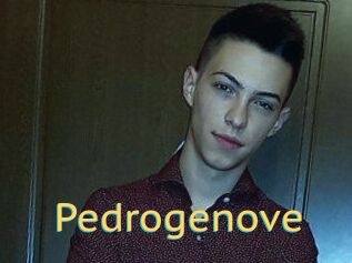 Pedrogenove