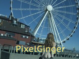 PixelGinger